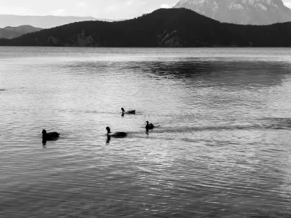 Casino Midas Aplicación móvil